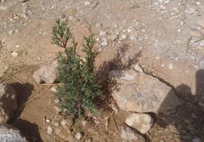 Potisma Sti Gliphada 04 06 2024