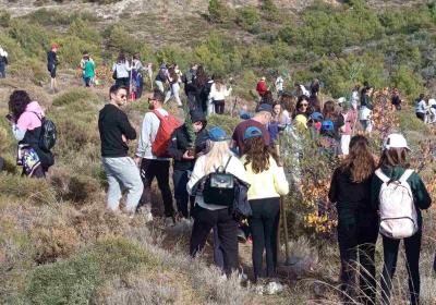 Δενδροφύτευση Πεντέλη - 17.11.2024