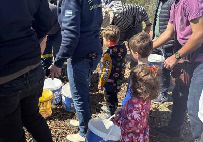 Δενδροφύτυση Παιανία - 9.03.2025