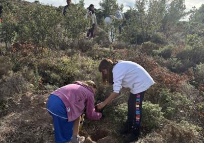Δενδροφύτευση στην Πεντέλη - 23.11.2025