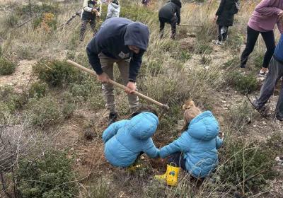 Δενδροφύτευση στην Πεντέλη - 21.12.2025