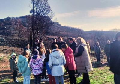 Dendrophitefsi Stin Alexandroupoli 10 12 2023